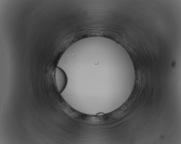 X0000097800522200803140739