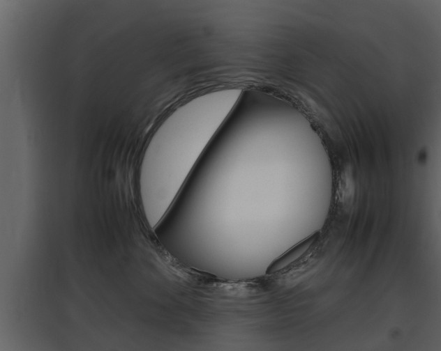 X0000097800524200803140739