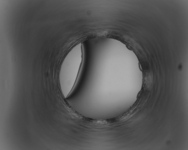 X0000097800525200803140739