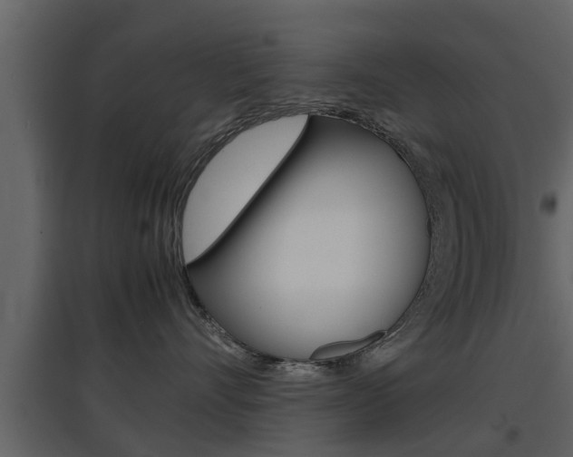 X0000097800528200803140739