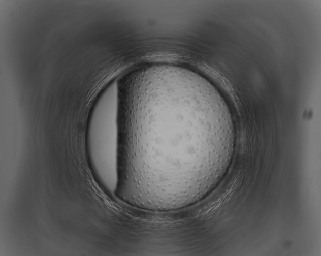 X0000097800529200803140738