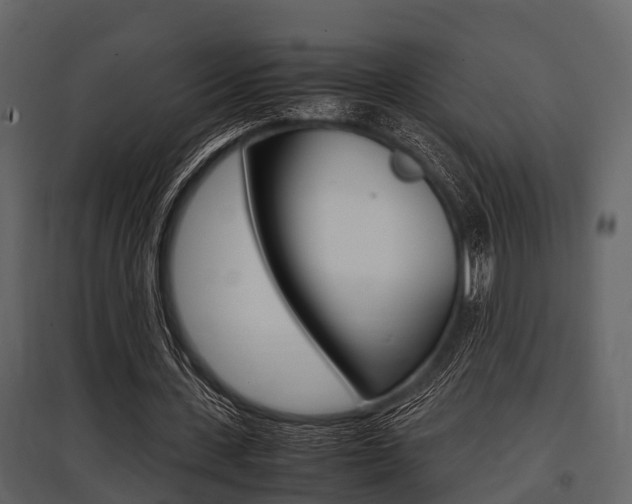 X0000097800531200803140738