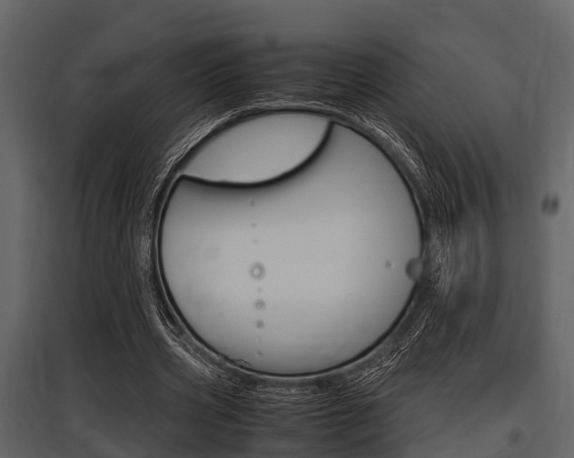 X0000097800533200803140738