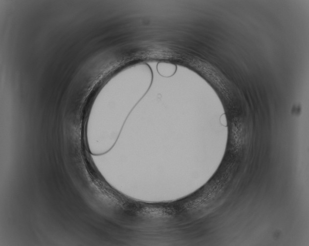 X0000097800534200803140738