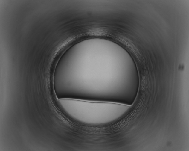 X0000097800535200803140738