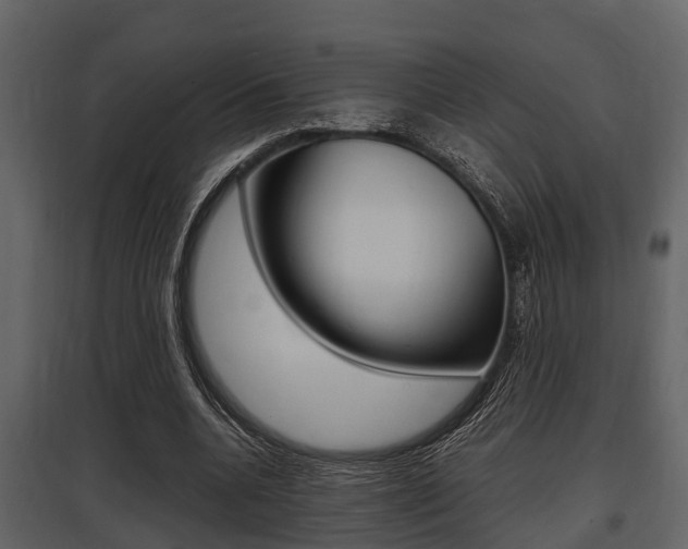 X0000097800536200803140738