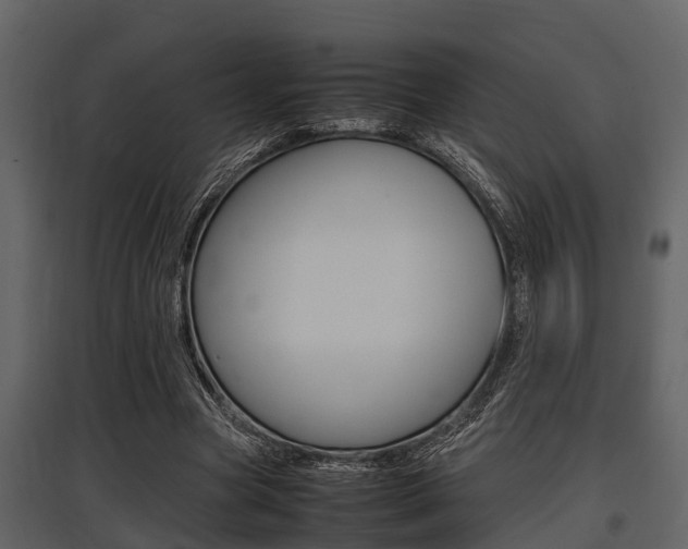 X0000097800537200803140738