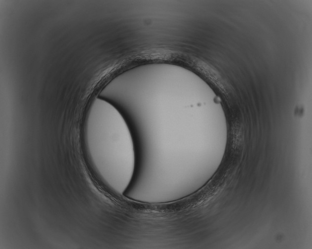 X0000097800538200803140738