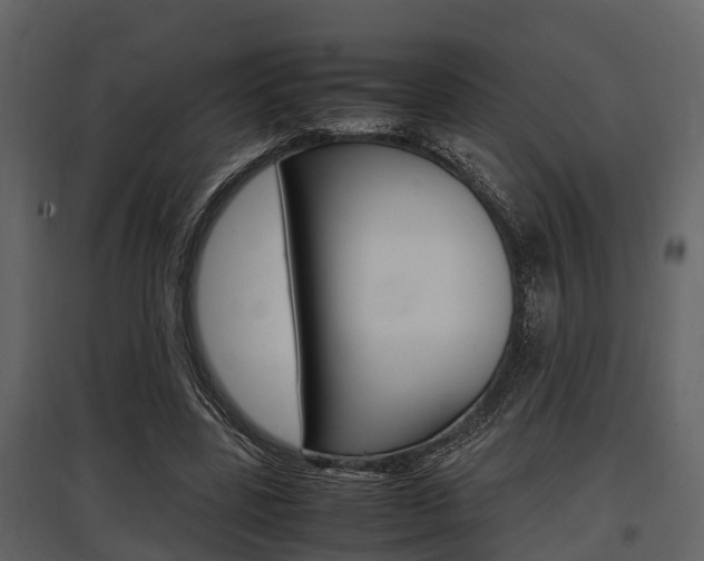 X0000097800539200803140738
