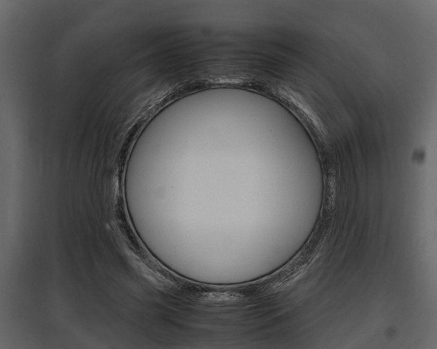 X0000097800541200803140738