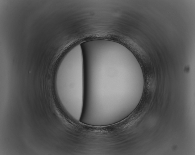 X0000097800542200803140738