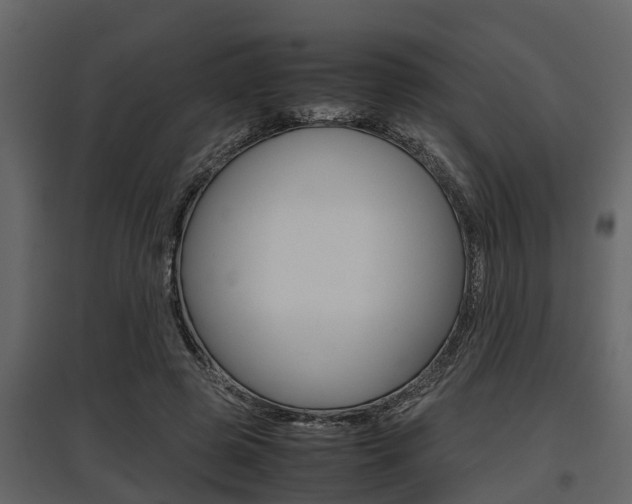 X0000097800545200803140738