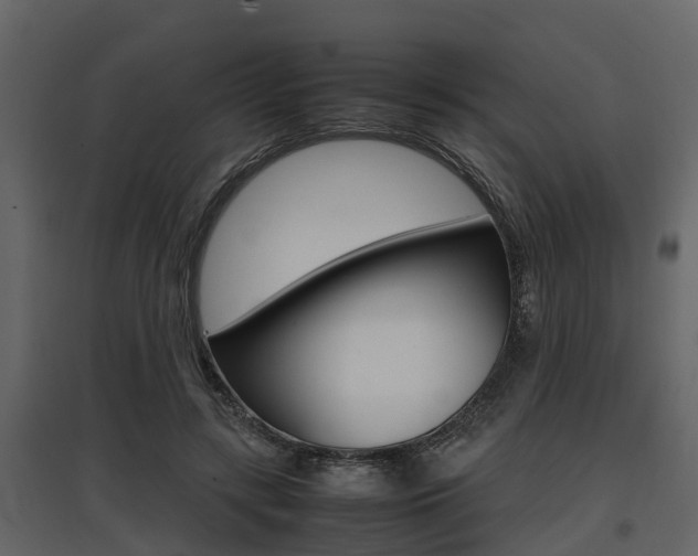 X0000097800547200803140738