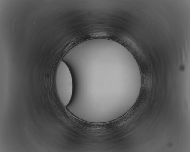X0000097800549200803140738