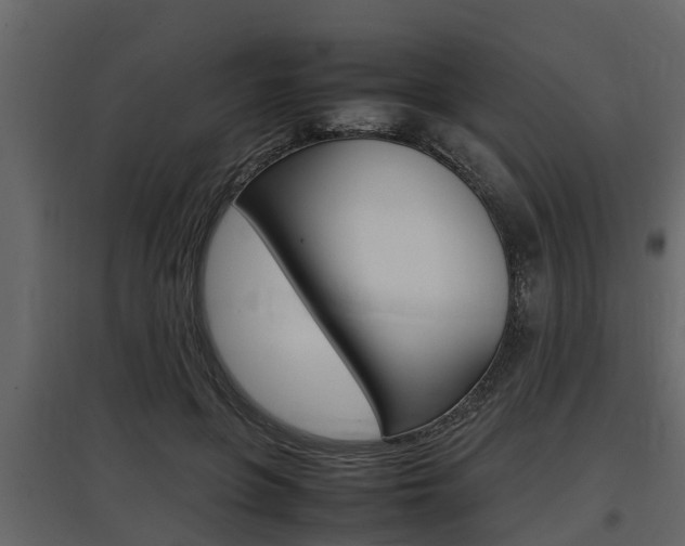 X0000097800551200803140738