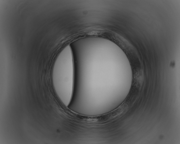 X0000097800554200803140738