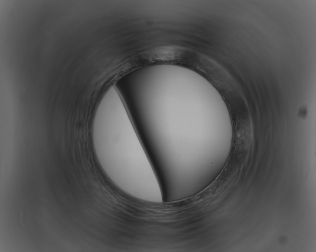 X0000097800555200803140738