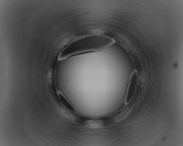 X0000097800556200803140738
