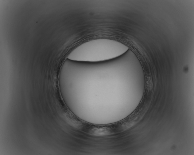 X0000097800557200803140738