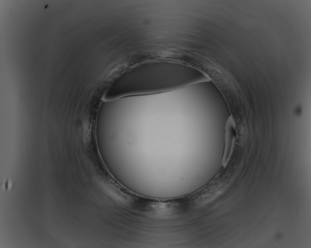 X0000097800558200803140738