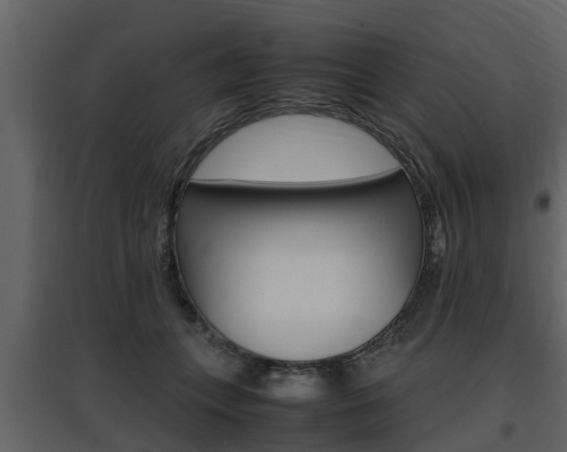 X0000097800559200803140738