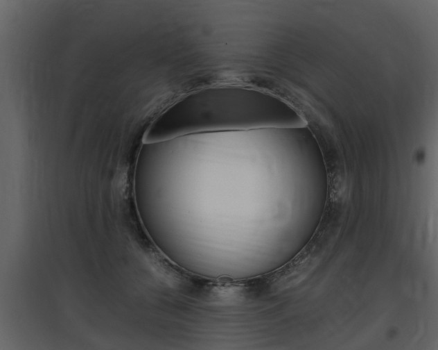 X0000097800560200803140738