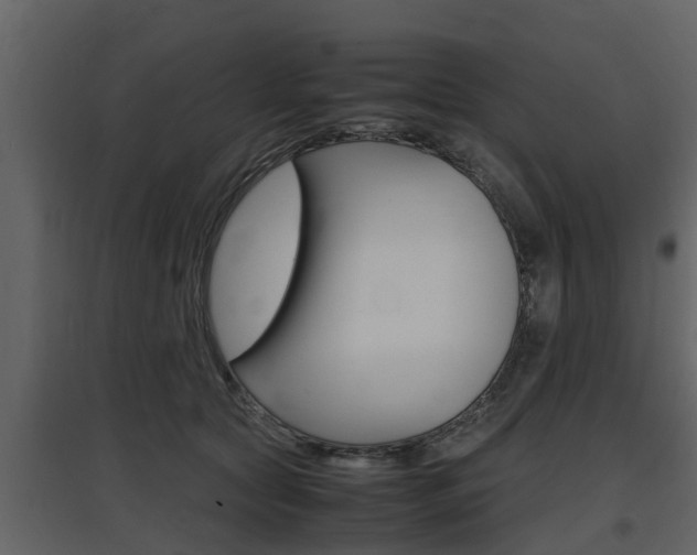 X0000097800561200803140738