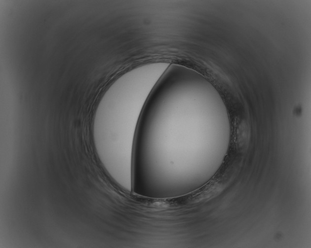 X0000097800562200803140738