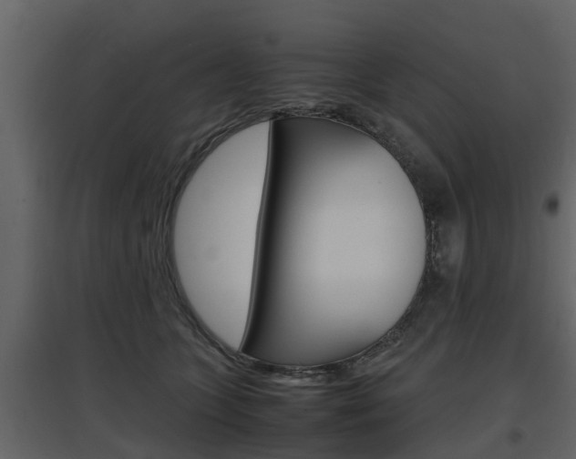 X0000097800563200803140738
