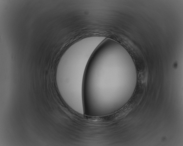 X0000097800564200803140738
