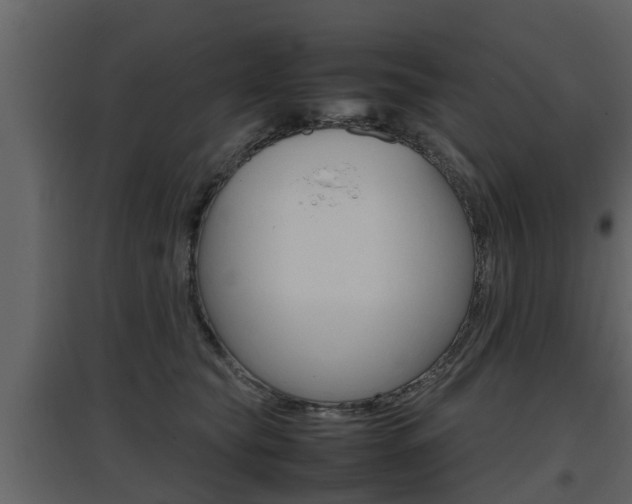 X0000097800565200803140738