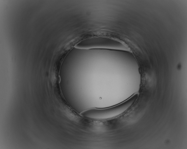 X0000097800566200803140739