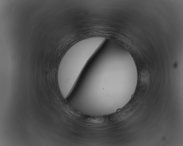 X0000097800567200803140739