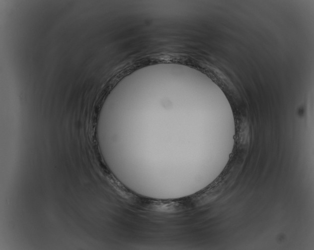 X0000097800569200803140739