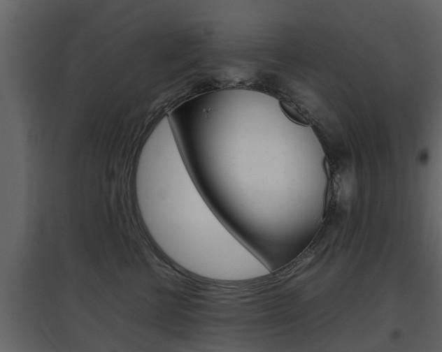 X0000097800570200803140739