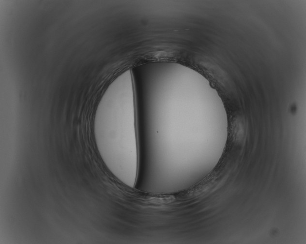 X0000097800571200803140739