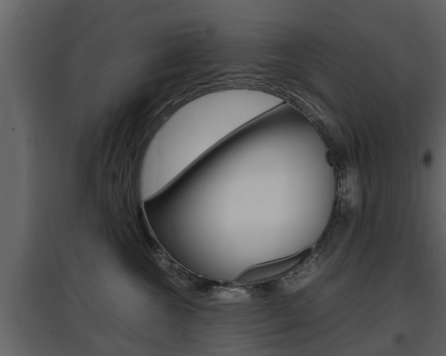 X0000097800572200803140739