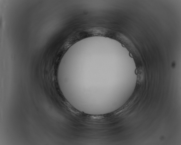 X0000097800573200803140739