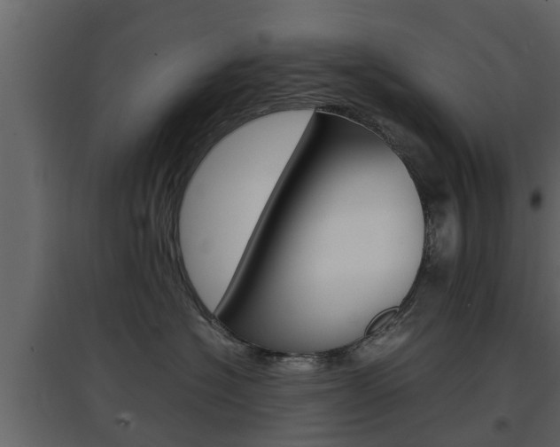 X0000097800574200803140739