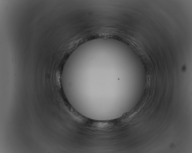 X0000097800575200803140739