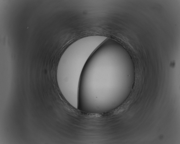 X0000097800576200803140739
