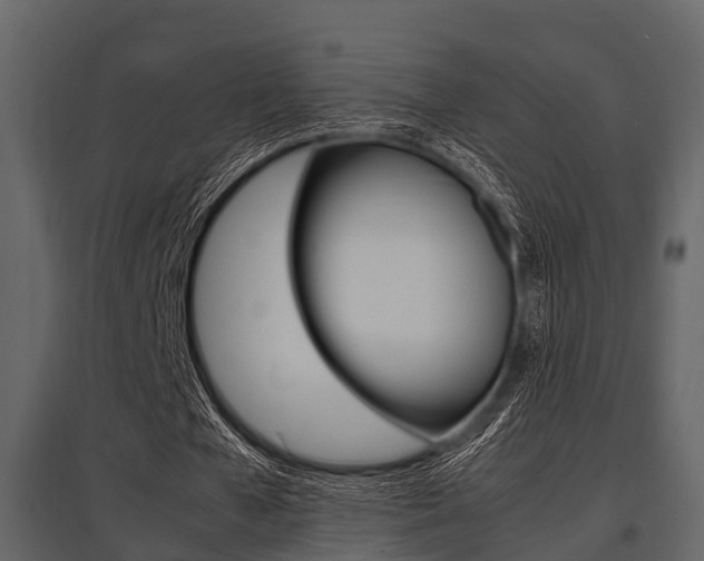 X0000097800577200803140738
