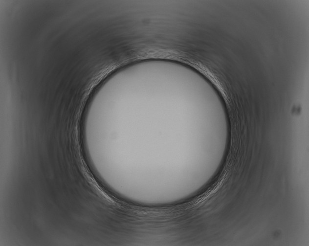 X0000097800581200803140738