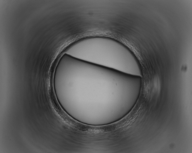 X0000097800582200803140738
