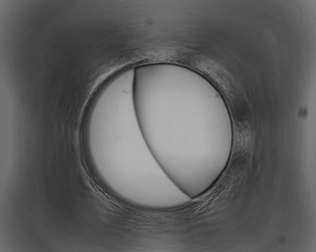 X0000097800583200803140738