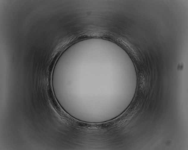 X0000097800586200803140738