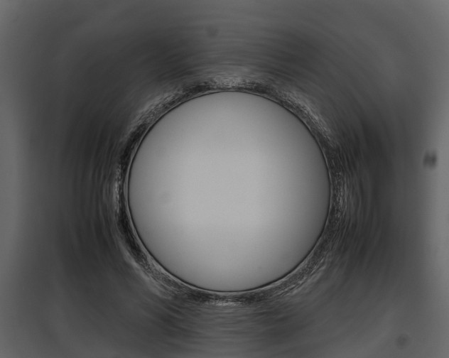 X0000097800590200803140738