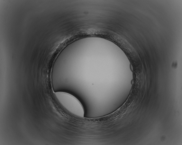 X0000097800592200803140738