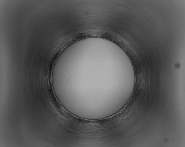 X0000097800594200803140738