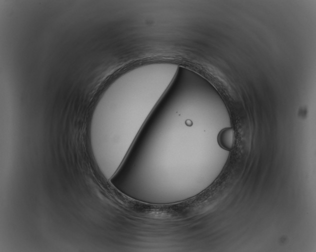 X0000097800596200803140738